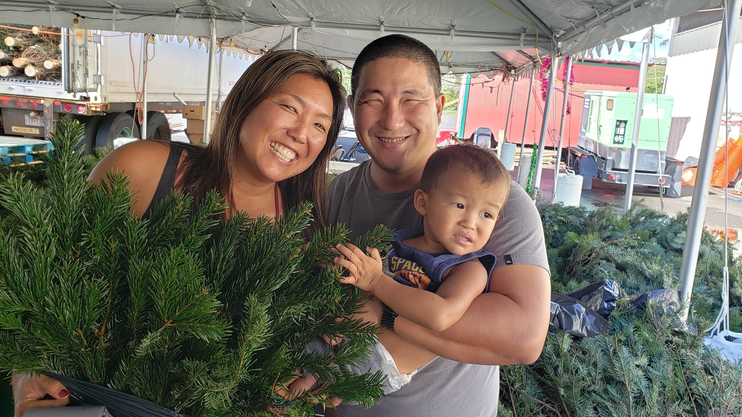 Online Christmas Tree Sales Oct 2 Nov 5, 2023 Island of Hawaii YMCA