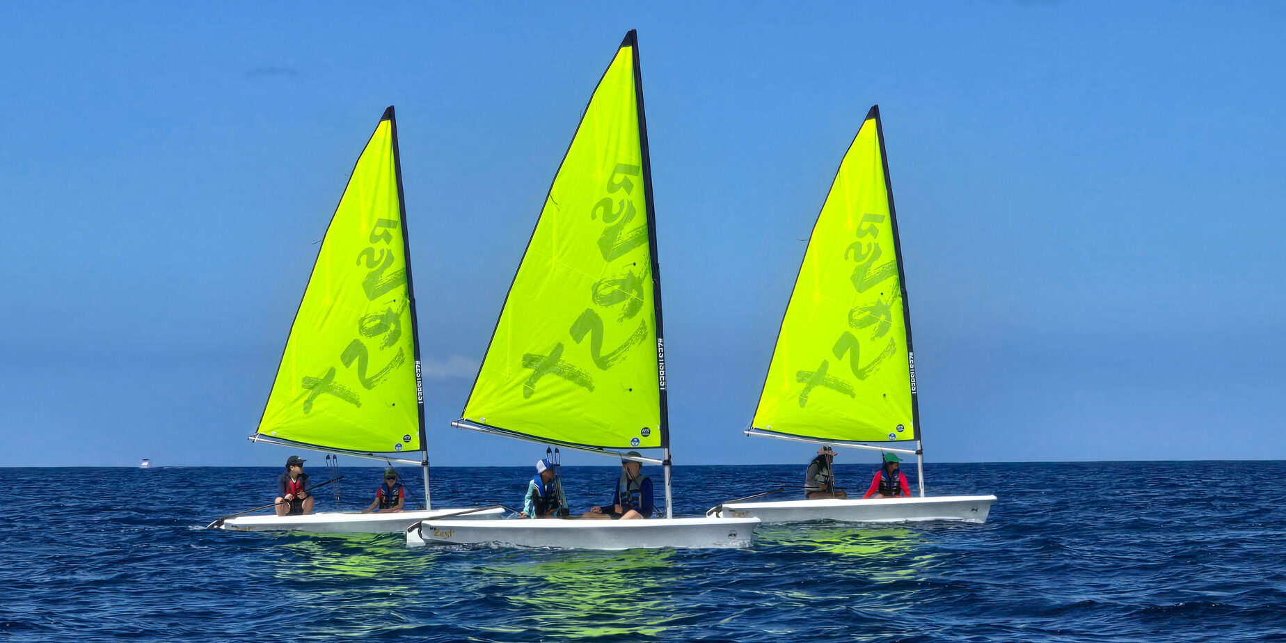 Yellow Zest Sailboats